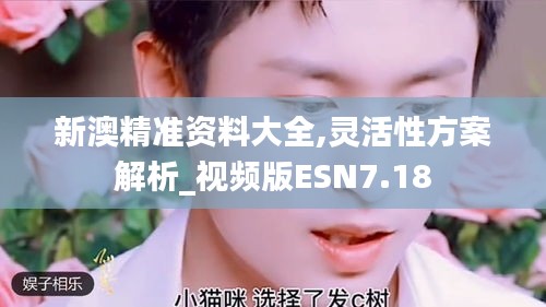 新澳精准资料大全,灵活性方案解析_视频版ESN7.18