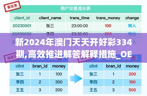 新2024年澳门天天开好彩334期,高效推进解答解释措施_OER8.70