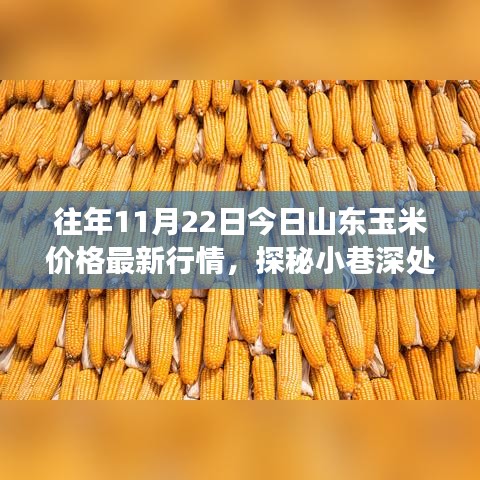 山东玉米市场最新行情揭秘，独特小店的玉米情缘与小巷深处的奇妙故事