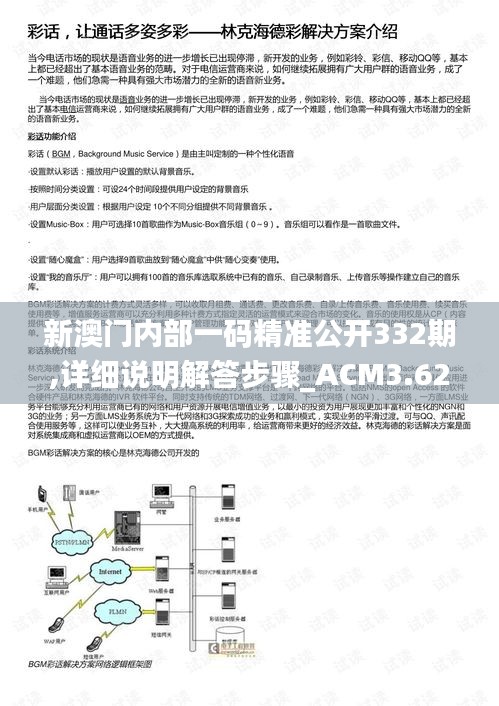 新澳门内部一码精准公开332期,详细说明解答步骤_ACM3.62