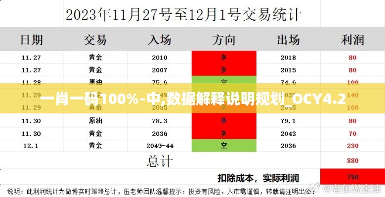 一肖一码100%-中,数据解释说明规划_OCY4.2