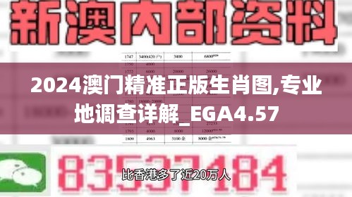 2024澳门精准正版生肖图,专业地调查详解_EGA4.57