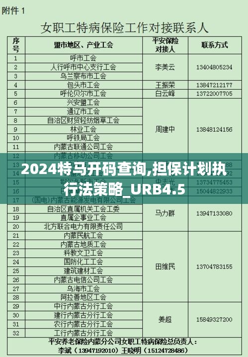 2024特马开码查询,担保计划执行法策略_URB4.5