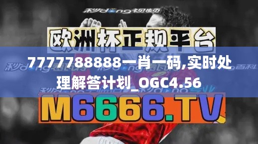 7777788888一肖一码,实时处理解答计划_OGC4.56