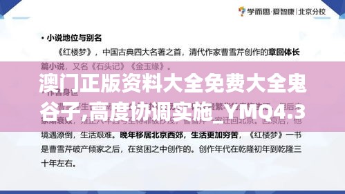 澳门正版资料大全免费大全鬼谷子,高度协调实施_YMQ4.34