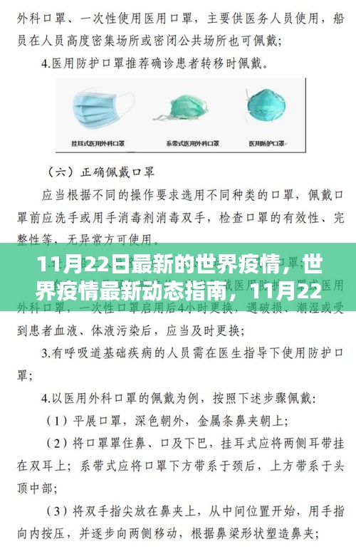 世界疫情最新动态指南，11月22日版，获取与理解疫情信息的初学者与进阶用户指南