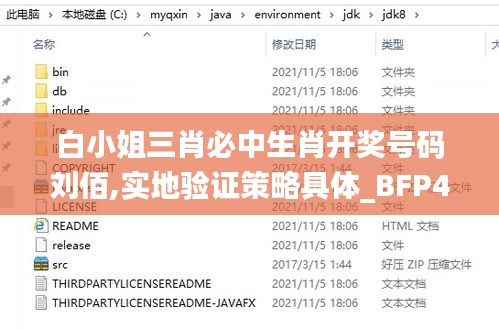 白小姐三肖必中生肖开奖号码刘佰,实地验证策略具体_BFP4.10