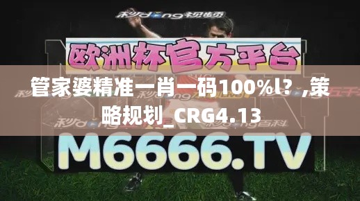 管家婆精准一肖一码100%l？,策略规划_CRG4.13