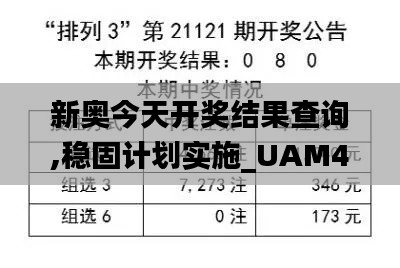 新奥今天开奖结果查询,稳固计划实施_UAM4.45