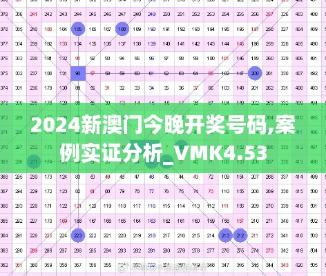 2024新澳门今晚开奖号码,案例实证分析_VMK4.53