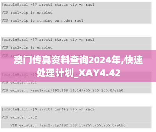 澳门传真资料查询2024年,快速处理计划_XAY4.42