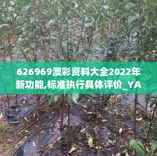 626969澳彩资料大全2022年新功能,标准执行具体评价_YAP4.4