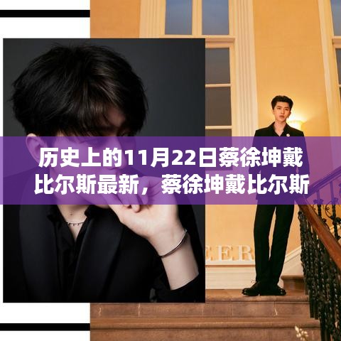 蔡徐坤戴比尔斯珠宝系列，历史上的11月22日独特魅力深度解析及最新资讯