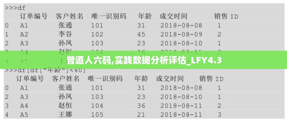 曾道人六码,实践数据分析评估_LFY4.3