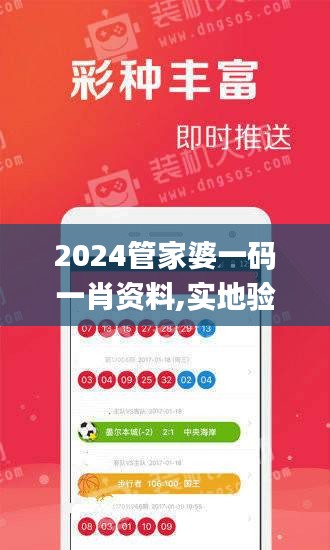 2024管家婆一码一肖资料,实地验证研究方案_DHT4.14