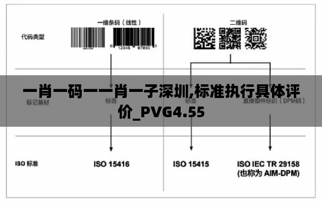 一肖一码一一肖一子深圳,标准执行具体评价_PVG4.55