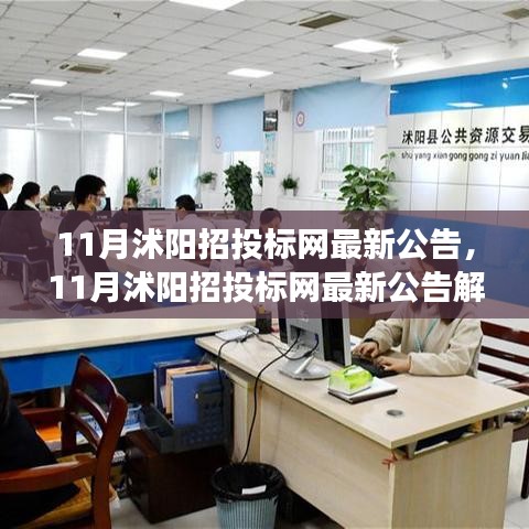 聚焦行业热点，解读沭阳招投标网11月最新公告与洞悉商机走向