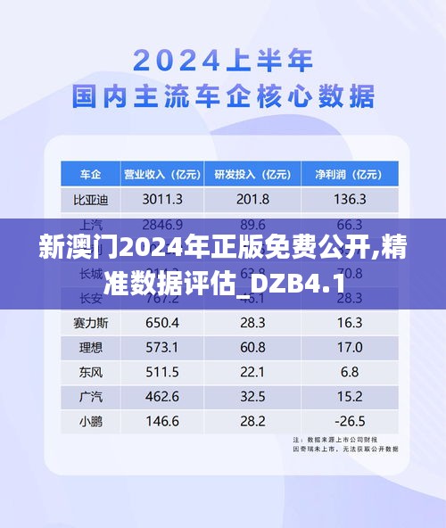 新澳门2024年正版免费公开,精准数据评估_DZB4.1