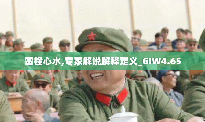 雷锋心水,专家解说解释定义_GIW4.65