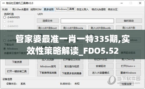 管家婆最准一肖一特335期,实效性策略解读_FDO5.52