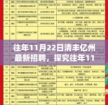 清丰亿州招聘现象深度解析，历年11月22日最新招聘动态及其影响探究