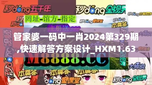 管家婆一码中一肖2024第329期,快速解答方案设计_HXM1.63