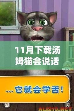 最新指南，11月汤姆猫会说话下载最新版