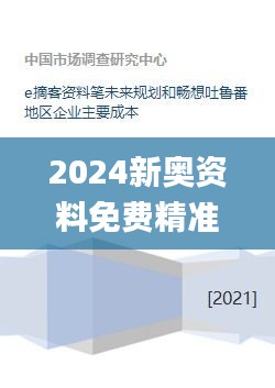 2024新奥资料免费精准资料333期,安全迅捷落实计划_QZK9.27