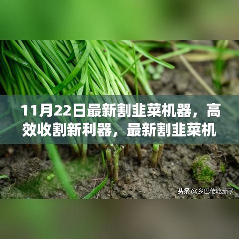 最新割韭菜机器深度评测，高效收割利器揭秘