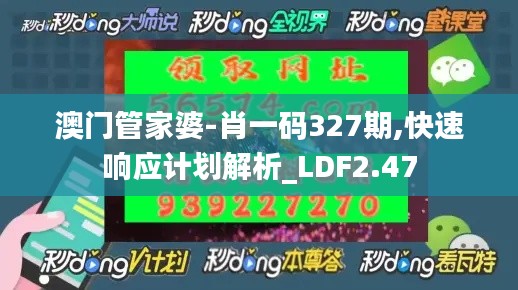 澳门管家婆-肖一码327期,快速响应计划解析_LDF2.47