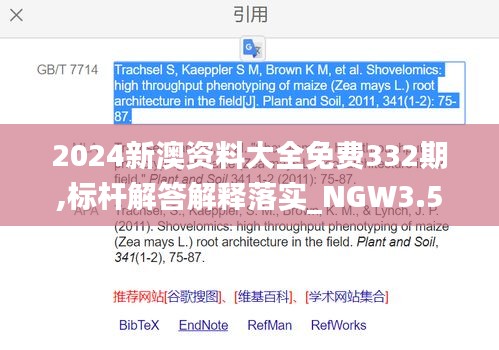 2024新澳资料大全免费332期,标杆解答解释落实_NGW3.56