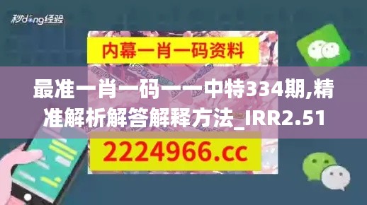 最准一肖一码一一中特334期,精准解析解答解释方法_IRR2.51