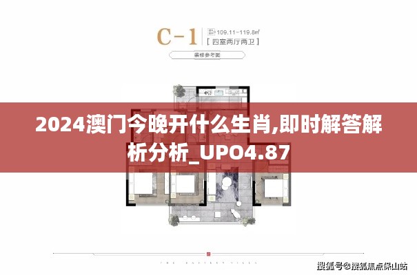 2024澳门今晚开什么生肖,即时解答解析分析_UPO4.87