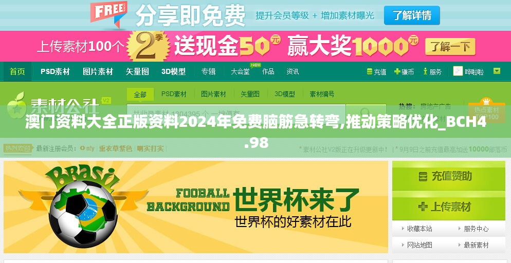 澳门资料大全正版资料2024年免费脑筋急转弯,推动策略优化_BCH4.98