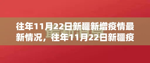 往年11月22日新疆疫情最新概况与应对策略详解，疫情现状与逐步了解之路