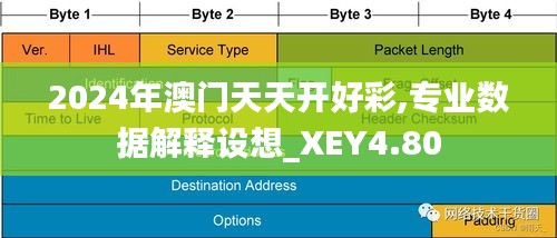 2024年澳门天天开好彩,专业数据解释设想_XEY4.80