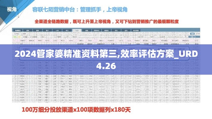 2024管家婆精准资料第三,效率评估方案_URD4.26