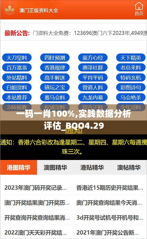 一码一肖100%,实践数据分析评估_BQO4.29