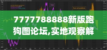 7777788888新版跑狗图论坛,实地观察解释定义_WHQ4.14