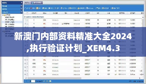 新澳门内部资料精准大全2024,执行验证计划_XEM4.3