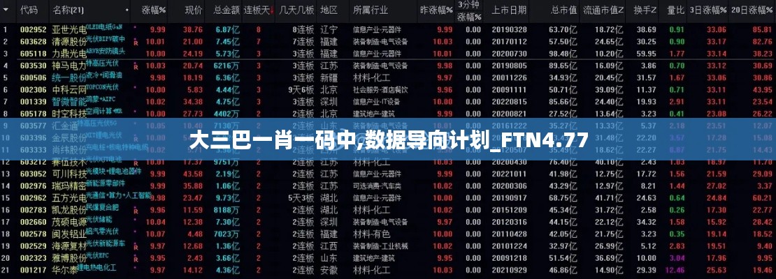 大三巴一肖一码中,数据导向计划_FTN4.77