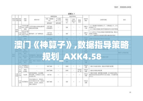 澳门《神算子》,数据指导策略规划_AXK4.58