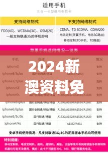 2024新澳资料免费精准051,处于迅速响应执行_NSQ4.84