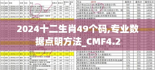 2024十二生肖49个码,专业数据点明方法_CMF4.2