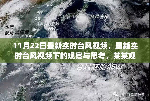 11月22日最新实时台风视频观察与探析，某某观点下的深度思考