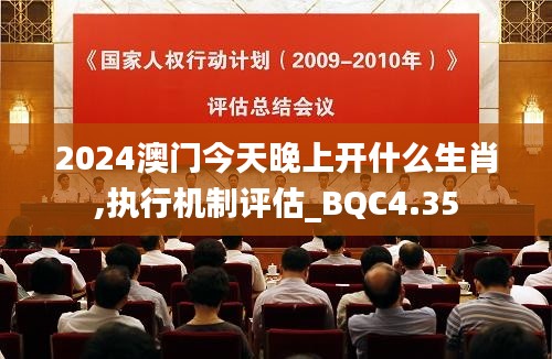 2024澳门今天晚上开什么生肖,执行机制评估_BQC4.35