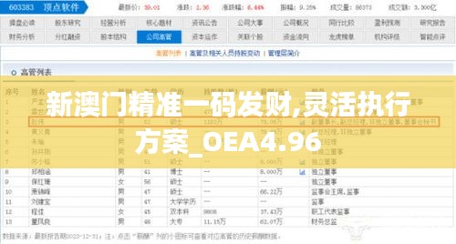 新澳门精准一码发财,灵活执行方案_OEA4.96