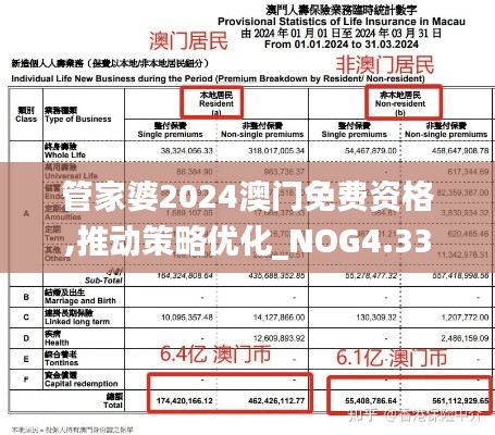 管家婆2024澳门免费资格,推动策略优化_NOG4.33