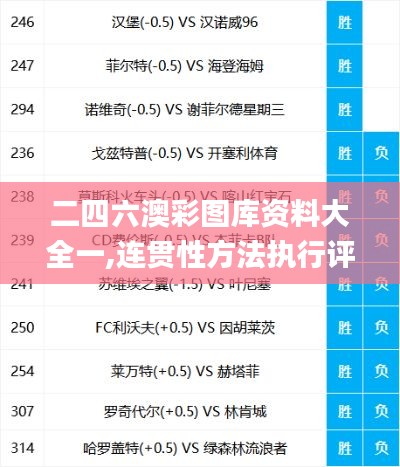 二四六澳彩图库资料大全一,连贯性方法执行评估_MRQ4.2