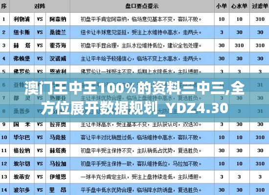 澳门王中王100%的资料三中三,全方位展开数据规划_YDZ4.30